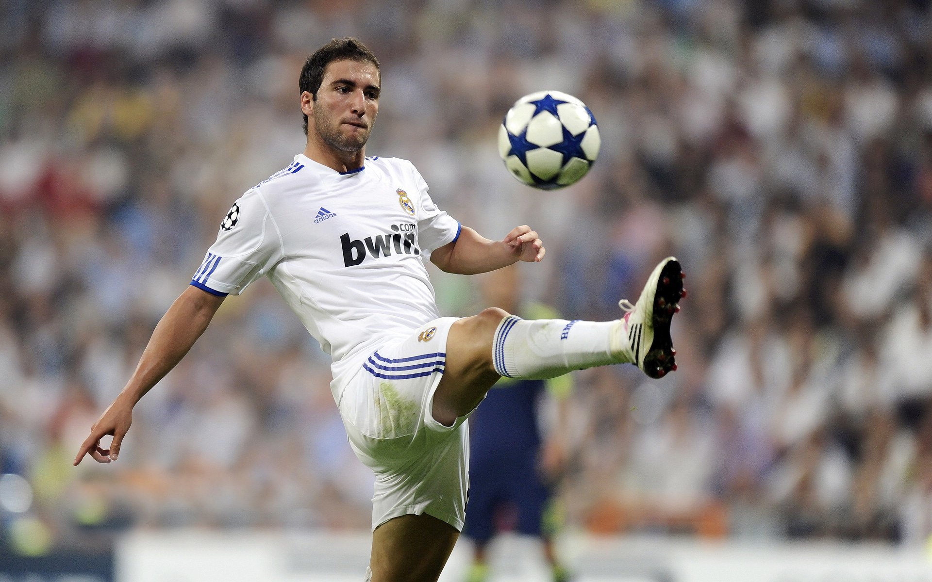 一瞬间，全场沸腾，全场沸腾了